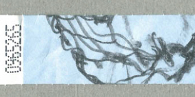 Transcription
